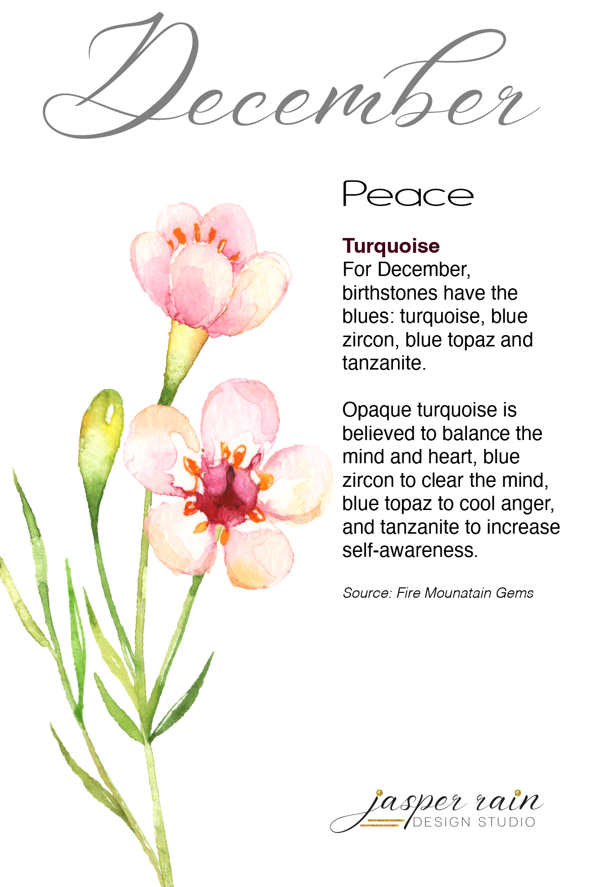 December Turquoise earrings